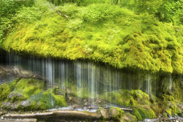 The Dietfurt waterfall, moss and stones, long exposure and ICM (camera moving), Wutach Gorge, Black