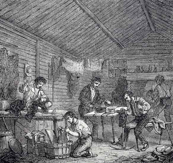Gold prospector, view into the hut of a gold digger in California, around 1860, America, digitally