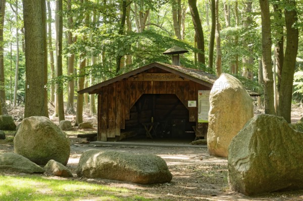 Erratic blocks and hut in the Neuenknick erratic block forest in the Teutoburg Forest. Around 2000