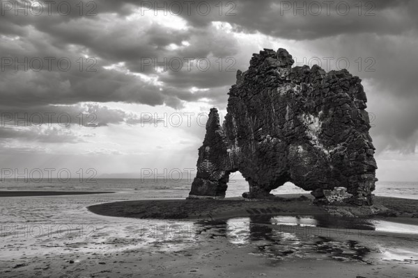 Basalt rock Hvitserkur, famous Elephant Rock on lava beach, coastline, dramatic cloudy sky, rain