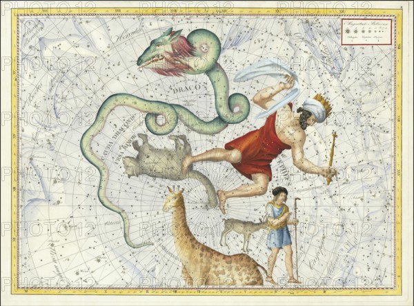 Sign of the zodiac, little bear, dragon, Cepheus, star chart, universe, astrology, horoscope, after