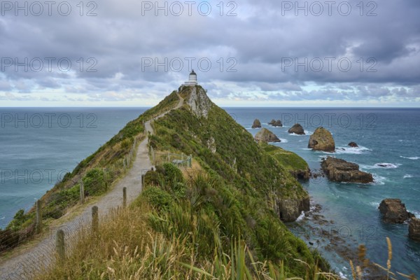 A path stretches to a lighthouse along the green coast with sea views, summer, Nugget Point