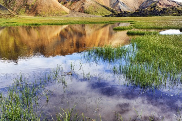 Volcanic landscape, colourful rhyolite mountains, reflection in water, Landmannalaugar, remote