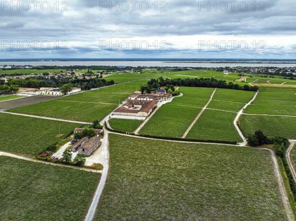 Chateau Pontet-Canet Vineyard and grape fields around Pauillac and Gironde Estuary from a drone,