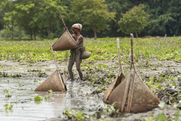 BAKSA, INDIA- JULY 12: Tribal women engage in traditional fishing using Jakoi, a bamboo fishing