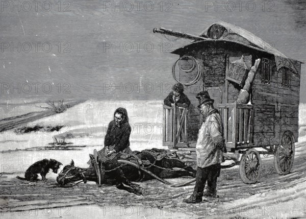 The last steps of the horse that collapsed in front of the carriage and dies, 1880, France,