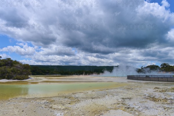Vapour emissions from a geothermal area under a cloudy sky, surrounded by nature and trees,