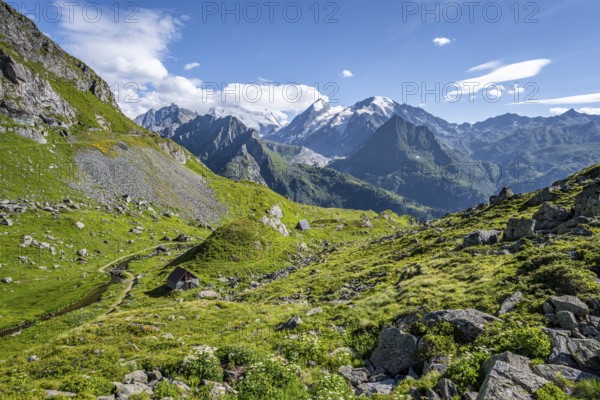 View from the Cabane du Louvie of the glaciated mountain peaks of the Grand Combine, Valais Alps,