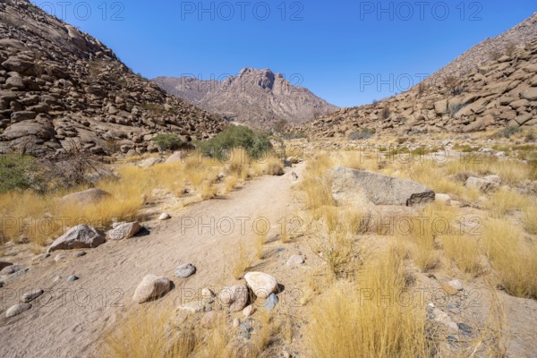Tsisab Gorge, White Lady Trail, desert landscape with mountains, Brandberg, Erongo, Damaraland,