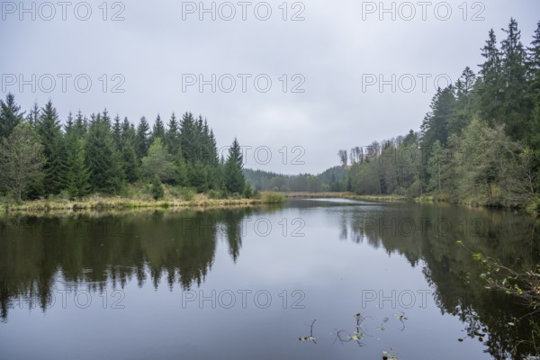 A little lake (Lindnerweiher) near Frauenzell at autumn, Bavaria, Germany