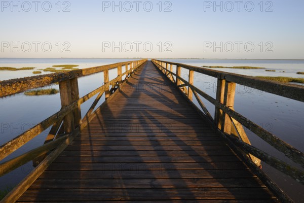 Wooden walkway in the Wadden Sea, Wadden Sea National Park, North Frisia, Schleswig-Holstein,