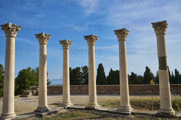 Ancient columns in front of a clear blue sky surrounded by cypresses, Temple of Apollo, Corinthian