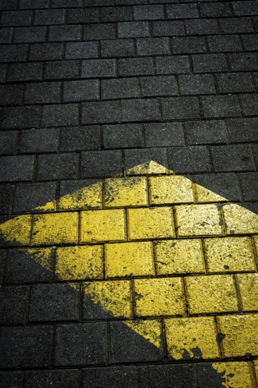 A yellow arrow marking on dark textured pavement draws attention. The sunlight creates an