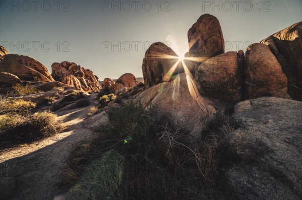 Sunrise in Joshua Tree National Park