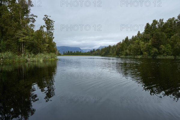 A lake with small waves and dense trees, against a grey sky, summer, Lake Matheson, Fox Glacier,