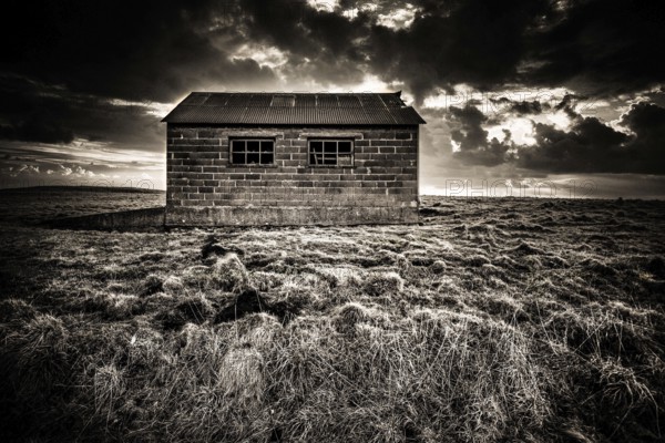 Sitting alone in a vast landscape, a rustic hut reveals the natural beauty of the Regional Nature
