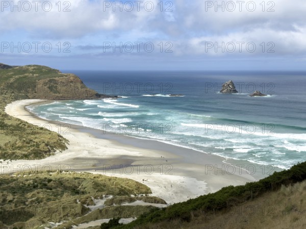 Sandfly Bay, Otago, South Island, New Zealand, Oceania