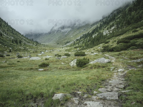 Historic mule track, Windbachtal, Krimmler Tauern, Pinzgau, Salzburg, Austria