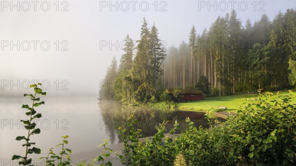Lake Blaibach on a misty morning with sunshine. Blaibach, district of Cham, Upper Palatinate,