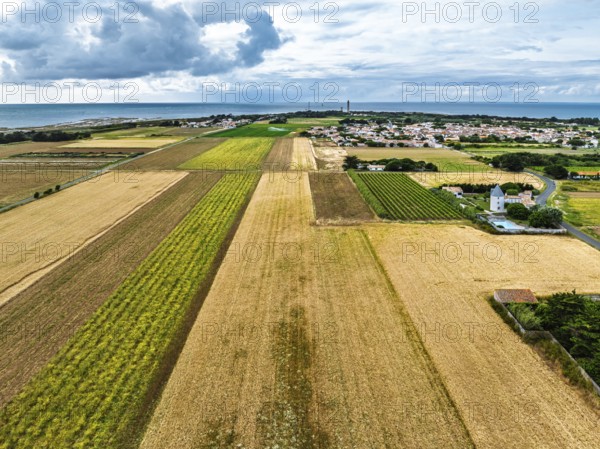 Fields and Grape plantations from a drone, Saint-Clement-des-Baleines, Atlantic, France