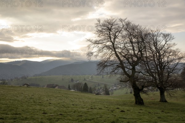 View from Schauinsland to the east with the mountains of the Black Forest in the morning, in the