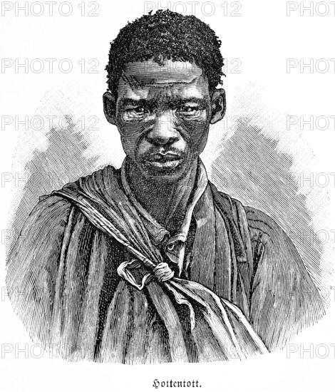 Hottentot, historical term, portrait of an African, middle-aged man, indigenous ethnicity, term