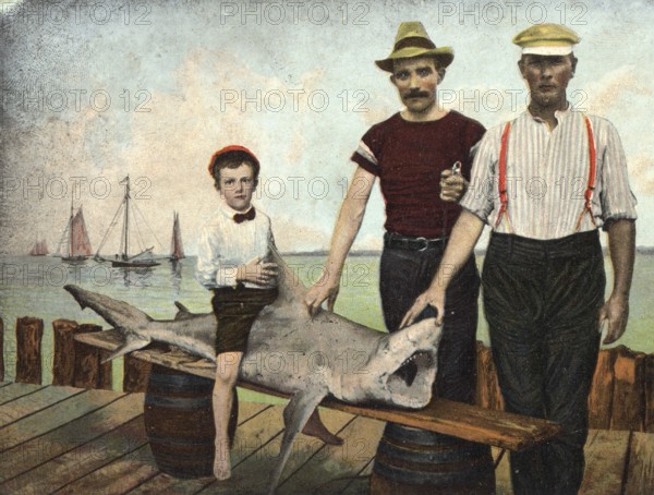 Two men and a boy pose with a shark. Child riding the shark. Presumably a Grey reef shark
