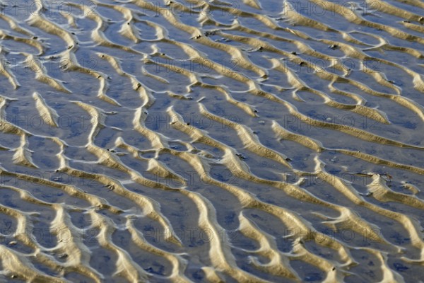 North Sea, Wadden Sea at low tide, wave-like structure, current ripples, Norddeich, Lower Saxony,