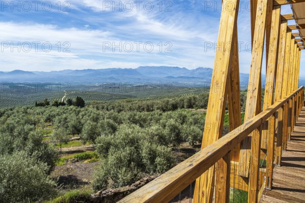 Wooden viewing platform, city Ubeda, view over endless olive tree fields to distant mountains,