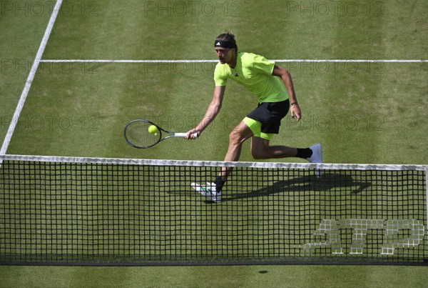 Alexander Zverev GER, Action, Tennis, ATP 250, BOSS Open 2025, Stuttgart, Baden-Württemberg,