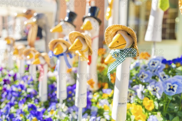 Colourful duck figures with straw hats surrounded by flowers, garden and ceramics Nagold, district