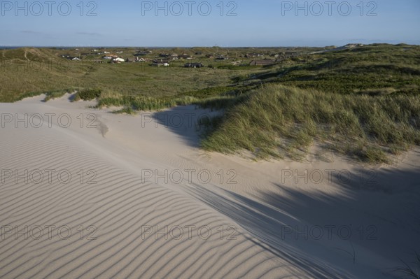 Dunes, wind-sculpted wave patterns in the sand, standing grass, dune landscape, holiday settlement,