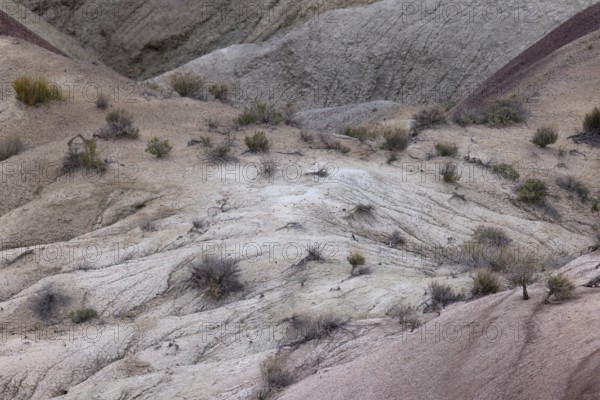 Colorful deposits of the Chinle Formation exposed at Little Painted Desert County Park near