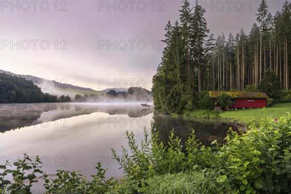Lake Blaibach on a cloudy morning. Fog over the lake, rising water vapour. Blaibach, district of