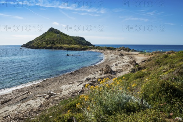 Wild beach, Sentier du littoral, Plage Ranc, Cap Taillat, Saint Tropez, Var, French Riviera,