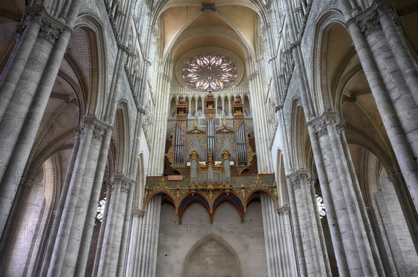 Interior view, west gallery, main organ, rose window, Cathédrale Notre-Dame d'Amiens, Amiens,