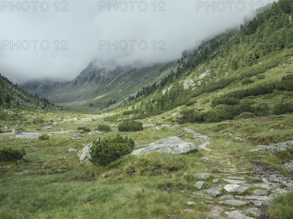 Historic mule track, Windbachtal, Krimmler Tauern, Pinzgau, Salzburg, Austria