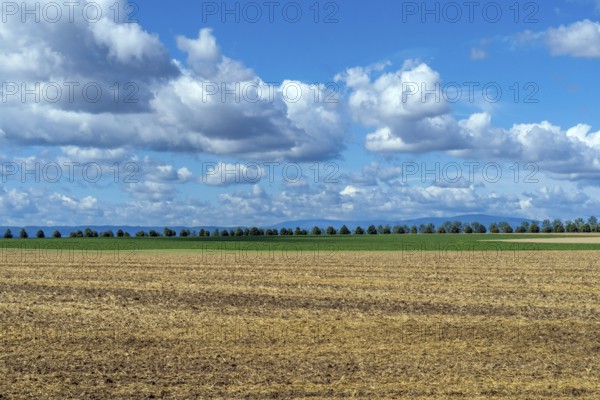 Saxony-Anhalt, Brocken, summit, Harz, northern Germany, weather, cumulus, field, agriculture, tree