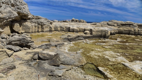 Rocks and seaweed on the coast under a clear sky, Oasis Beach, East Coast Rhodes, Rhodes,