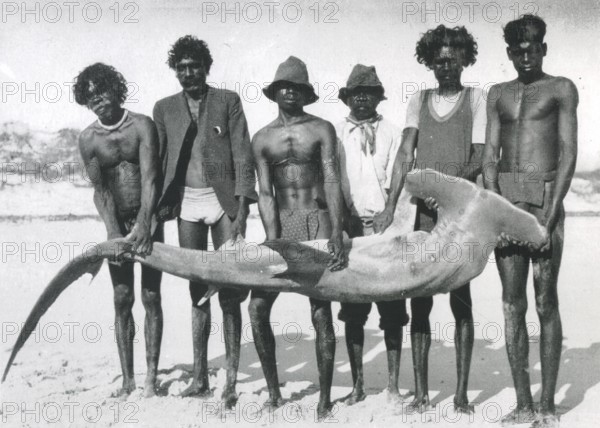 Six arborigines posing with a captured adult scalloped hammerhead shark, (Sphyrna lewini) 1930,