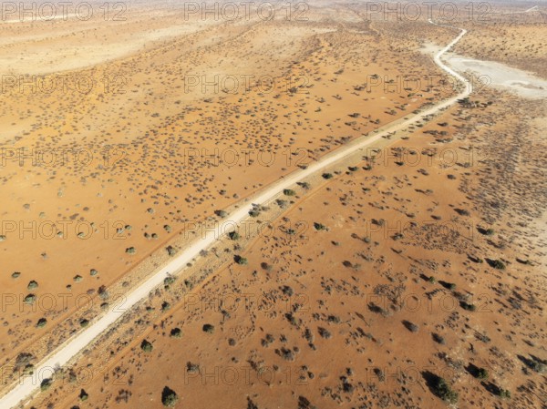 Gravel road in the Kalahari Desert with its linear sand dunes grown with camelthorn trees