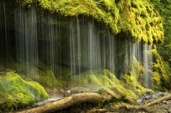 The Dietfurt waterfall, moss and stones, long exposure, Wutach Gorge, Black Forest,