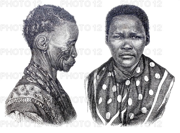 Types of the Ottentots. Collective term for the Khoikhoi family of peoples living in present-day