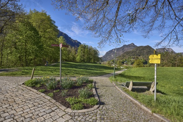 Mountain landscape, mountains, hills, forest, footpath, cobblestones, signposts, flowerbed, trees,