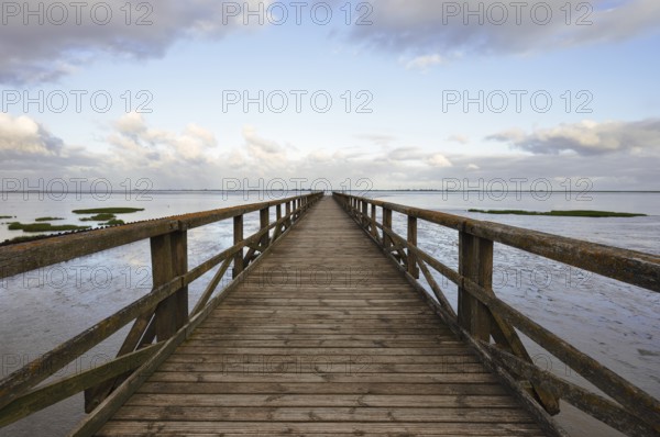 Wooden walkway in the Wadden Sea, Wadden Sea National Park, North Frisia, Schleswig-Holstein,