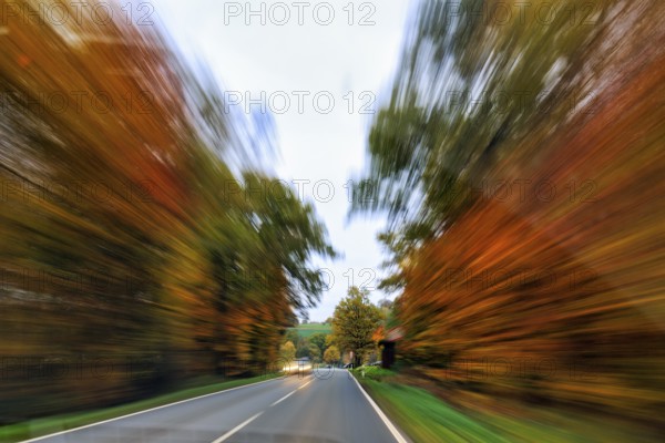 Country road through autumn forest, autumn leaves, oncoming traffic, light traces, cloudy weather,