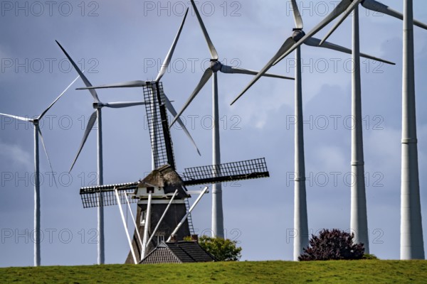 Westereems and Growind wind farms, over 80 wind turbines in total, at the Eemshaven seaport,