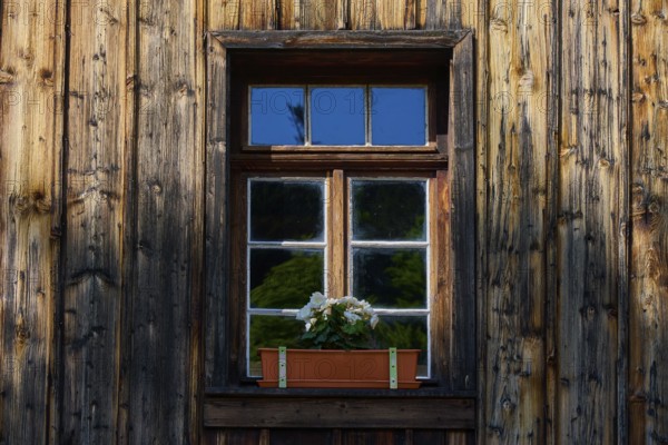 Rustic wooden window with flower box in a play of light and shadow, Triberg im Schwarzwald,