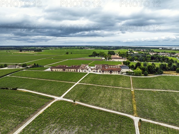 Chateau Pontet-Canet Vineyard and grape fields around Pauillac and Gironde Estuary from a drone,