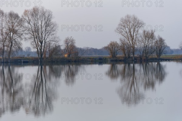 Evening mood at Moosinninger Weiher, quarry pond, fishing pond for carp, reflection of the trees on